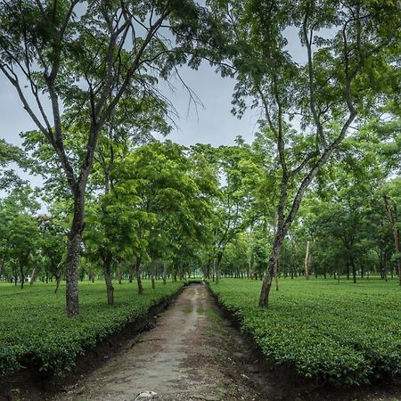 Tusker Tea County Hotell Chālsa Eksteriør bilde