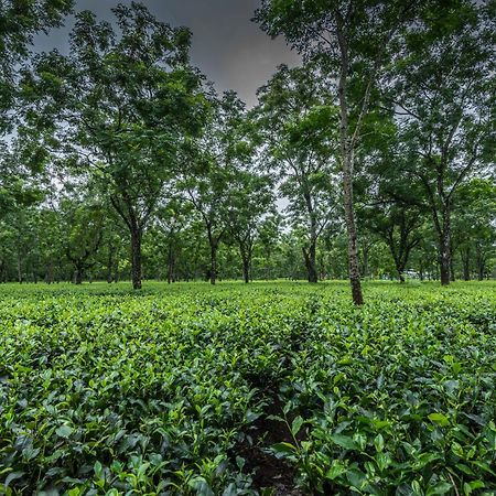 Tusker Tea County Hotell Chālsa Eksteriør bilde