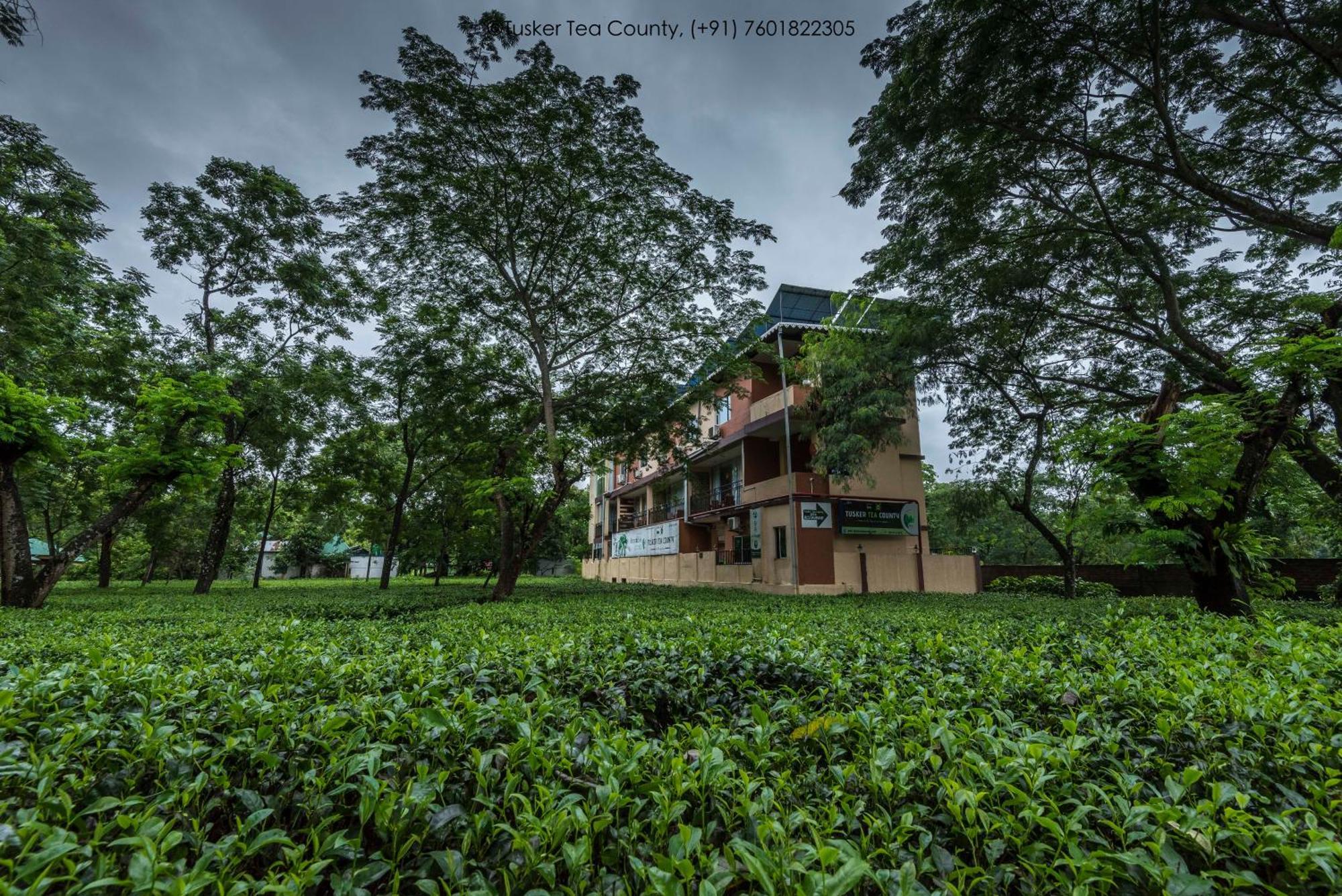 Tusker Tea County Hotell Chālsa Eksteriør bilde