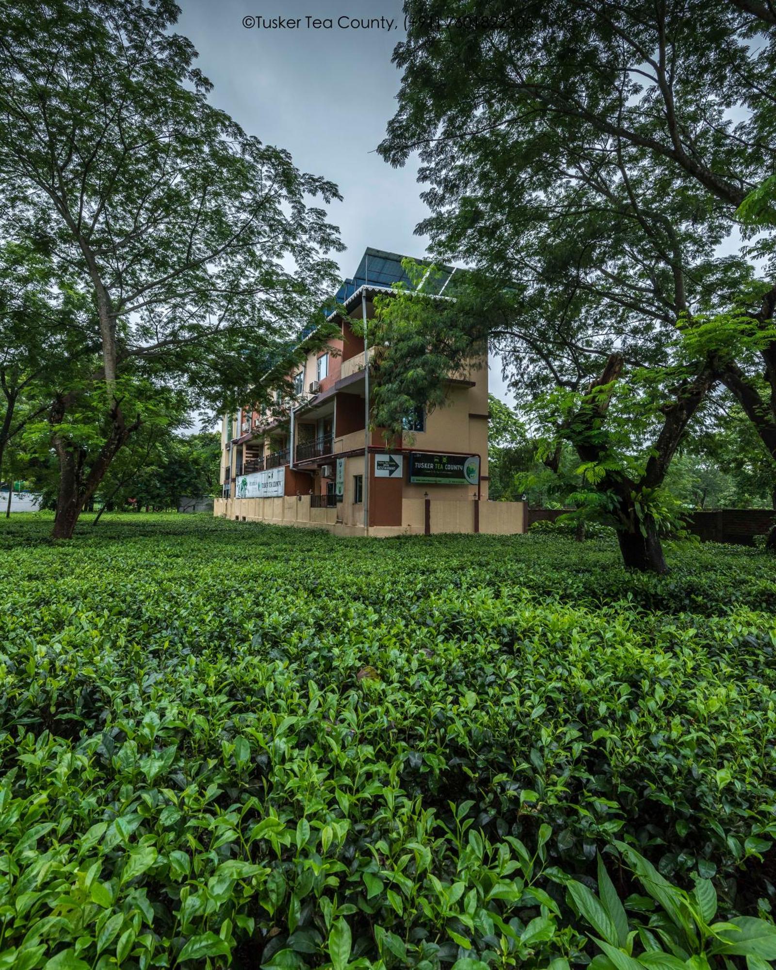 Tusker Tea County Hotell Chālsa Eksteriør bilde